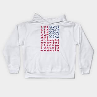 Cat Flag America USA Kids Hoodie